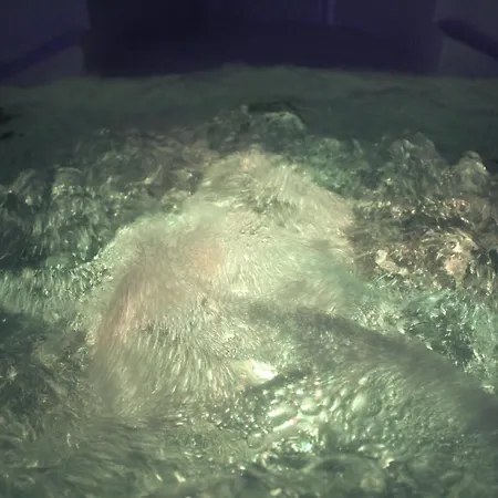 Casa de Férias De Gasperi House- Elegante Appartamento,con Terrazza,nel Cuore Di *